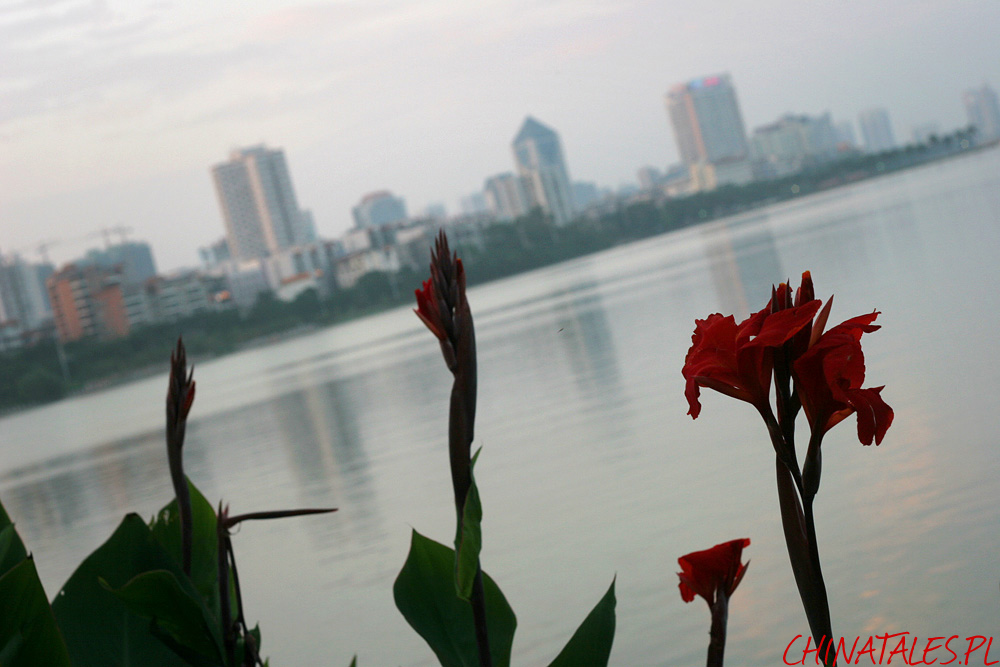 Nanhu Nanning 16