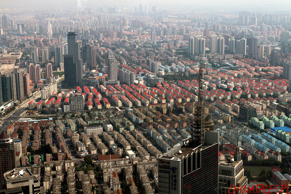 miasto 11