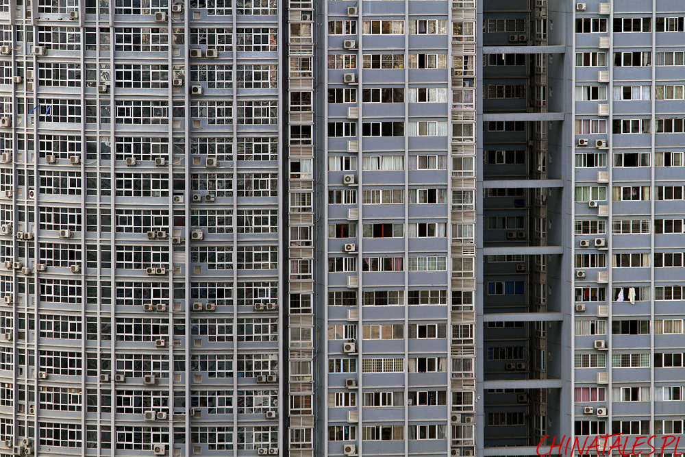 miasto 20