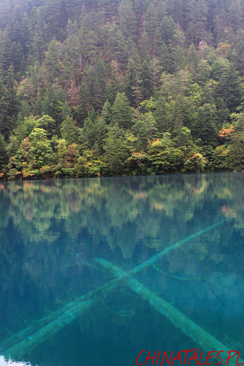Jiuzhaigou 03