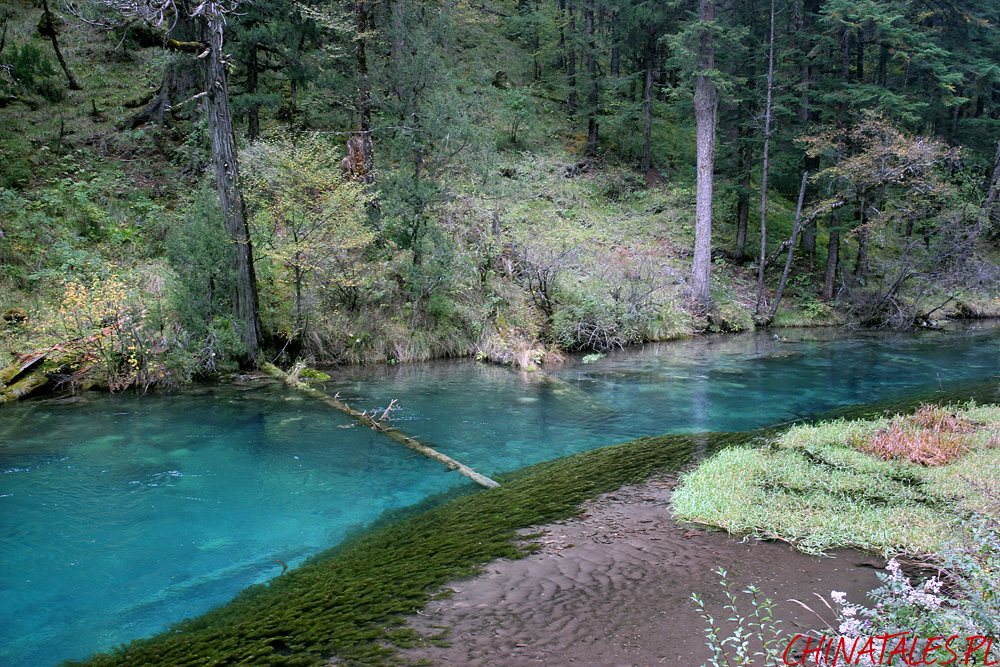 Jiuzhaigou 07