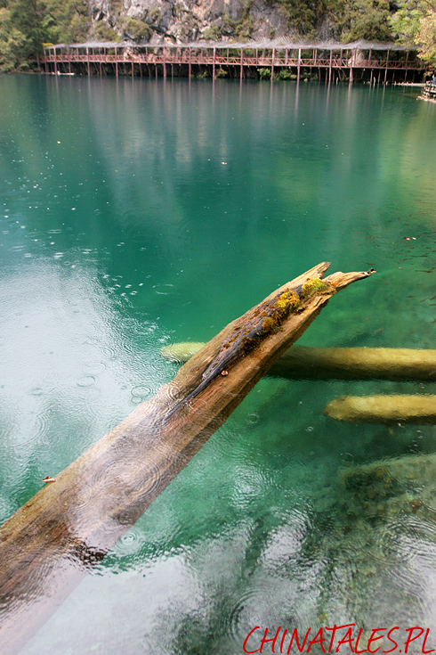 Jiuzhaigou 10