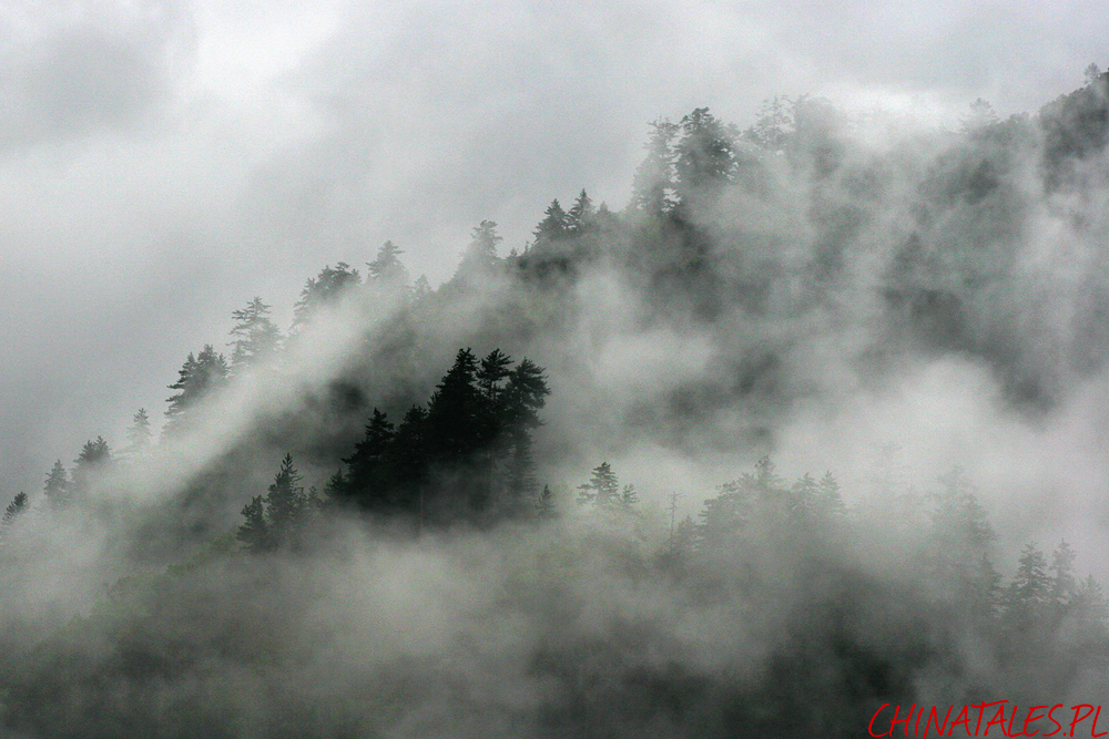 Jiuzhaigou 13