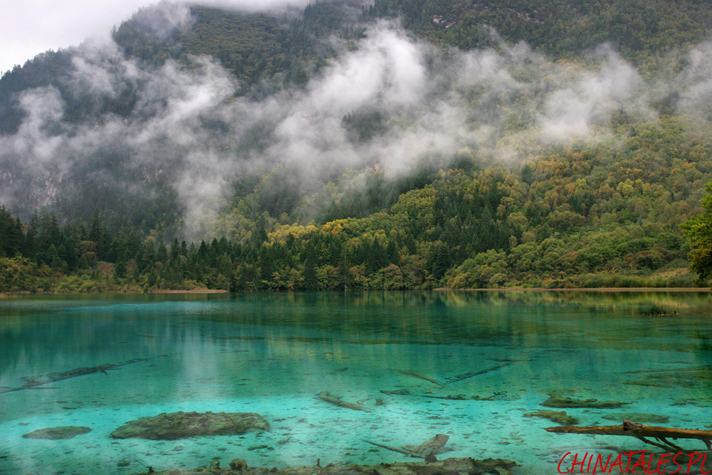 Jiuzhaigou 15