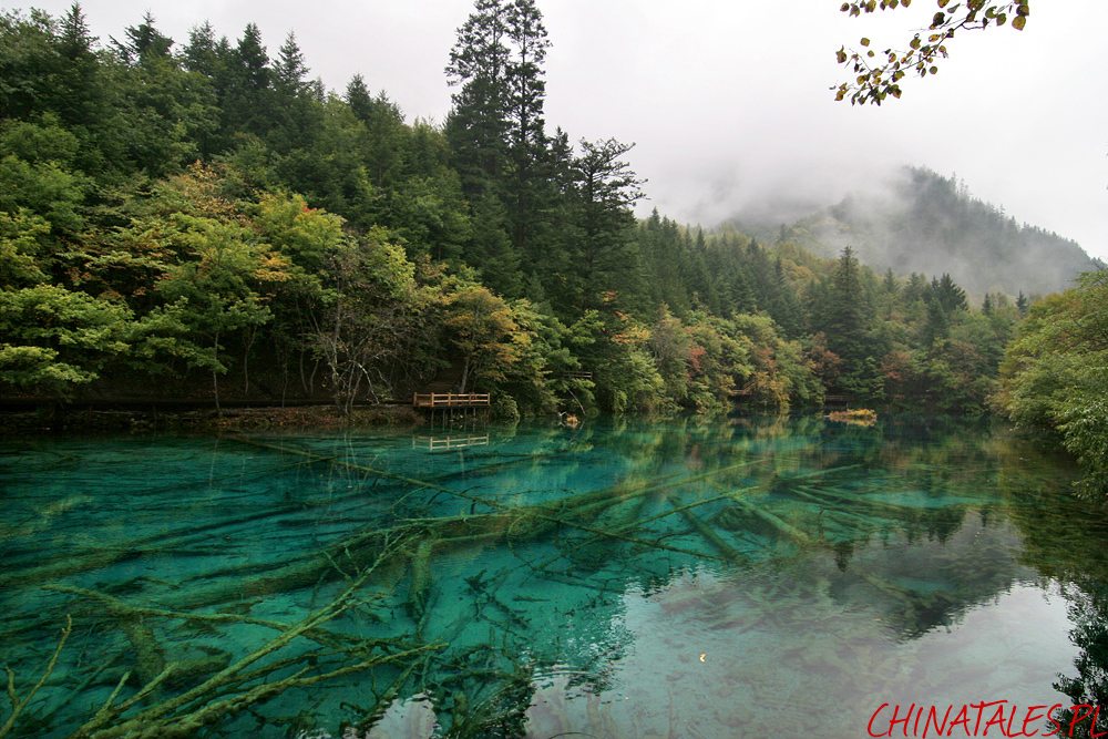Jiuzhaigou 17