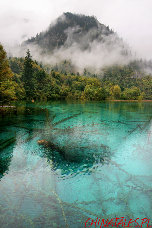 Jiuzhaigou 18