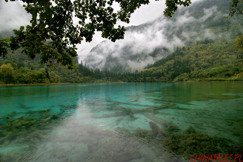 Jiuzhaigou 21