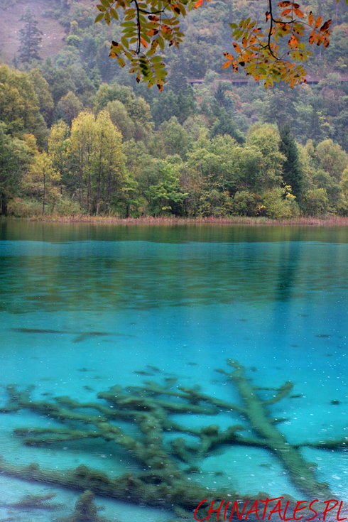 Jiuzhaigou 22