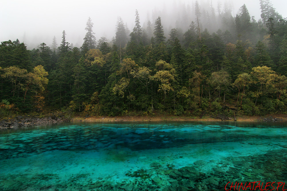 Jiuzhaigou 31
