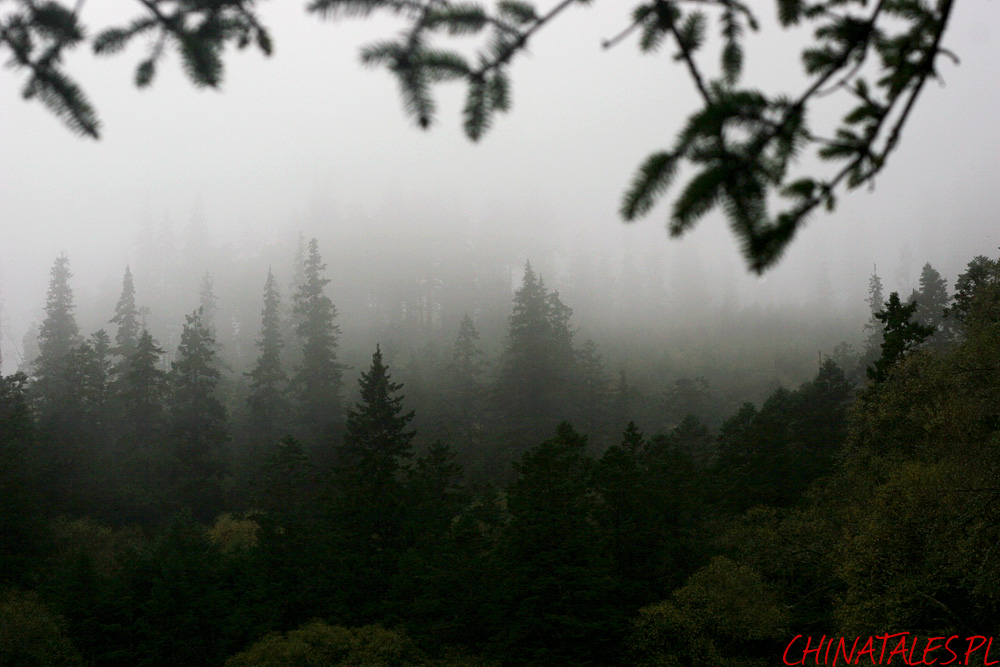 Jiuzhaigou 33
