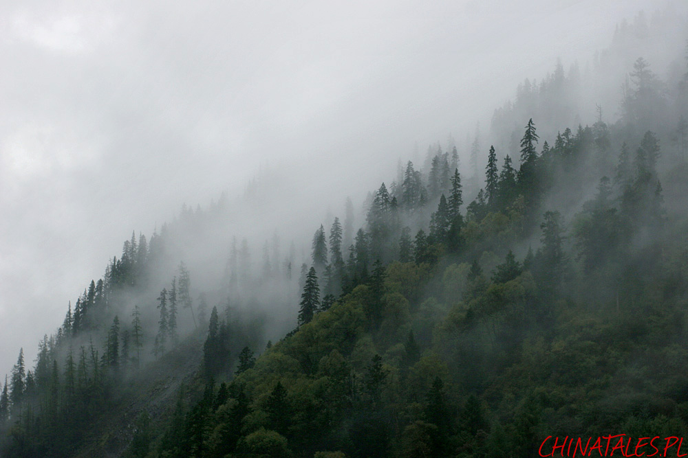 Jiuzhaigou 34
