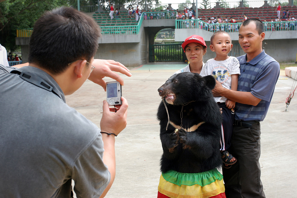 chińskie zoo chinatales